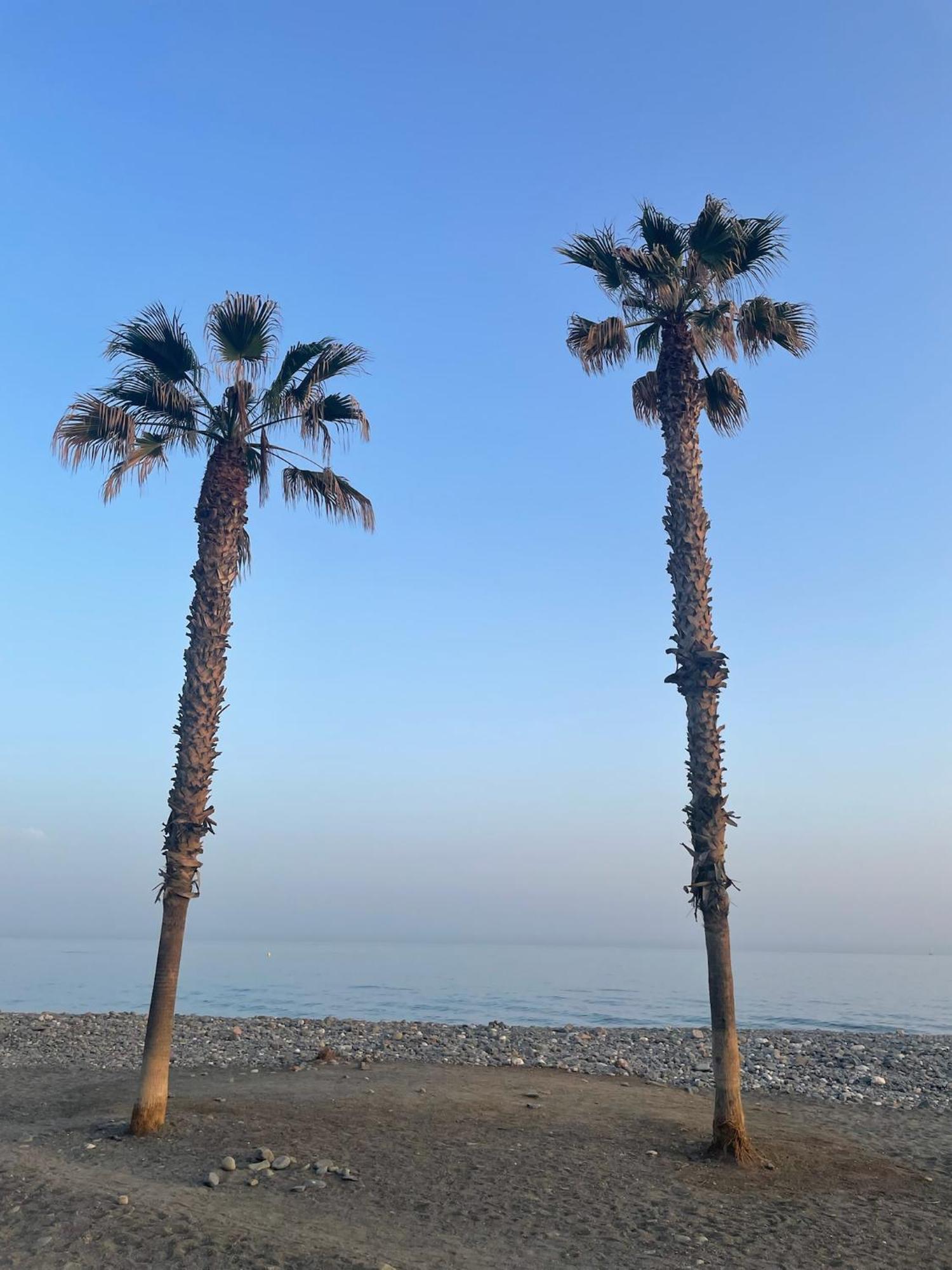 Casita 10 Malaga, Holiday Home With Roof Terrace 외부 사진